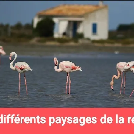 Daire La Mediterranee A 10 Minutes Des Plages *